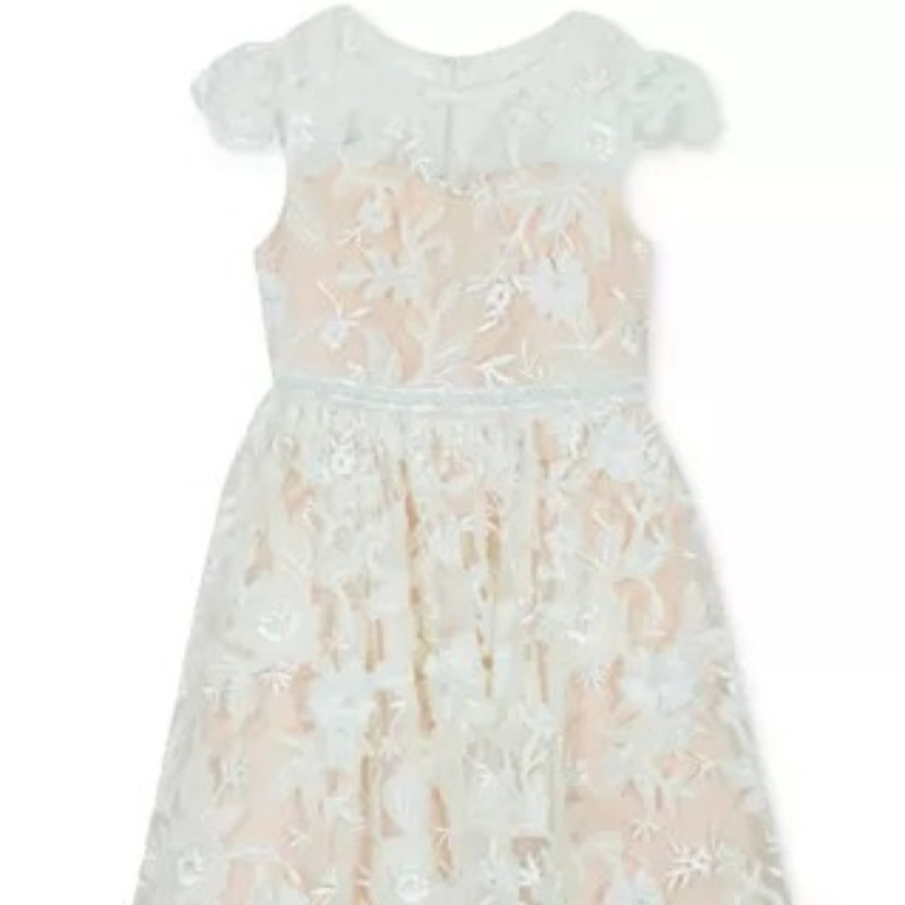 Formal Embroidered Gown